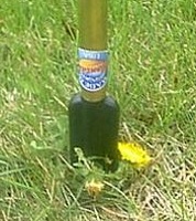 Photo 2 - Dandelion Terminator, A tool for plucking dandelions